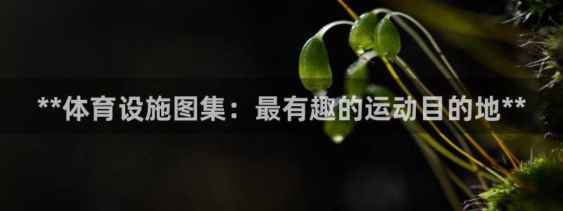 意昂体育3招商电话是多少啊：**体育设施图集：最有趣