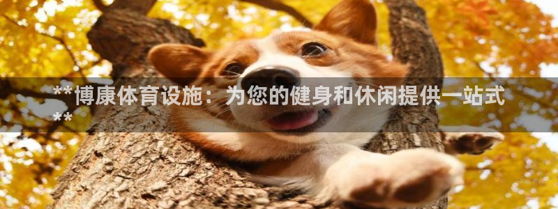 意昂体育3平台是正规平台吗安全吗：**博康体育设施：