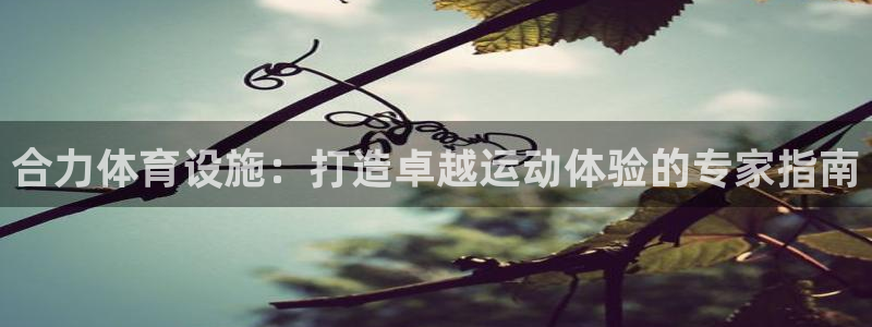 意昂体育3招商电话号码是多少啊：合力体育设施：打造卓