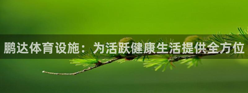 海南意昂体育3：鹏达体育设施：为活跃健康生活提供全方