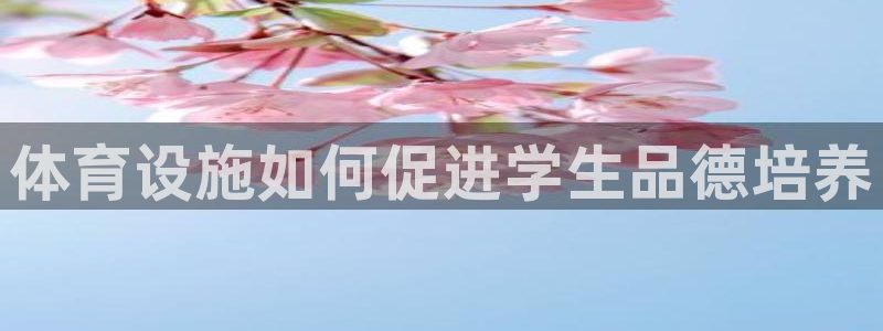 意昂体育3：体育设施如何促进学生品德培养