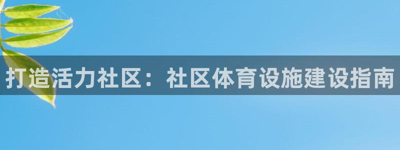 意昂3娱乐网站：打造活力社区：社区体育设施建设指南