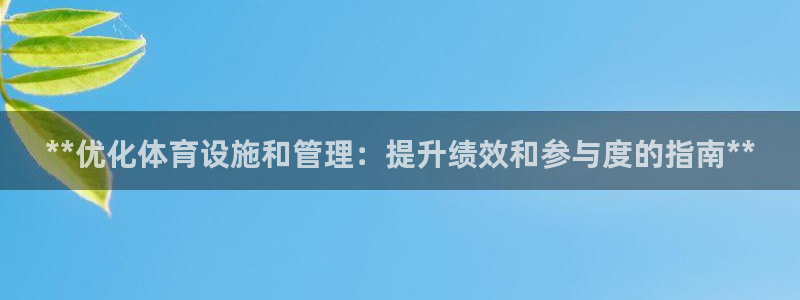 意昂3集团E.ON：**优化体育设施和管理：提升绩效