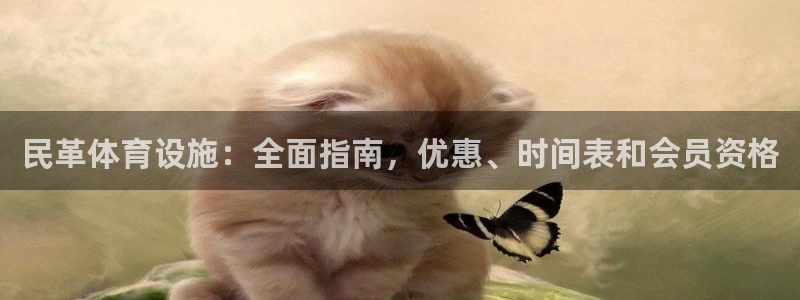 意昂体育3招商电话号码：民革体育设施：全面指南，优惠