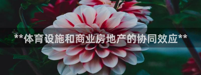 意昂3新能源：**体育设施和商业房地产的协同效应**