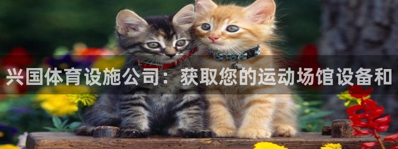 意昂体育3平台注册流程图：兴国体育设施公司：获取您的