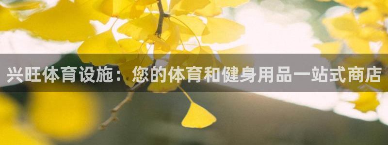 意昂3集团：兴旺体育设施：您的体育和健身用品一站式商