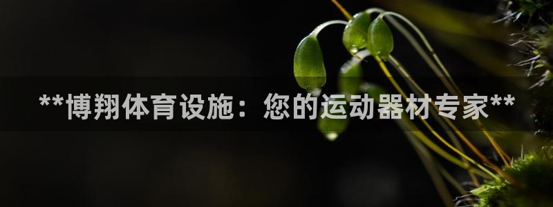 意昂3娱乐平台：**博翔体育设施：您的运动器材专家*