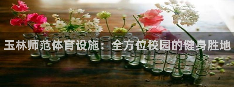 意昂体育3招商电话号码查询：玉林师范体育设施：全方位