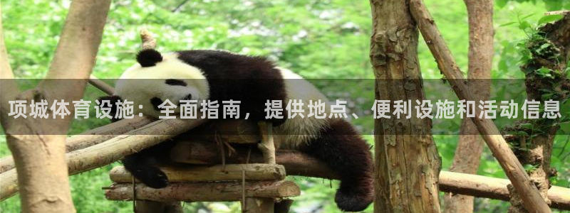 意昂3娱乐下载：项城体育设施：全面指南，提供地点、便