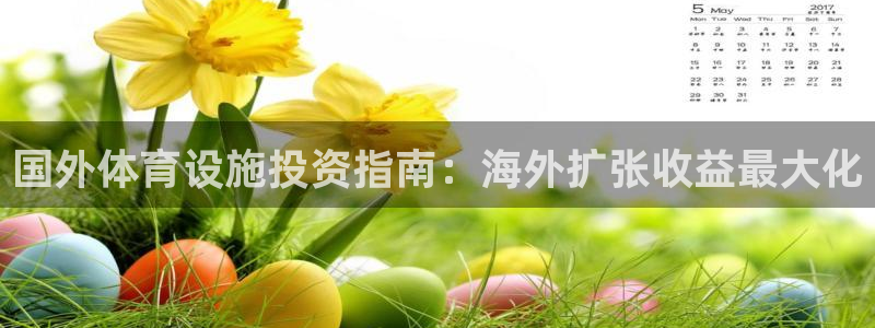 意昂3集团E.ON：国外体育设施投资指南：海外扩张收