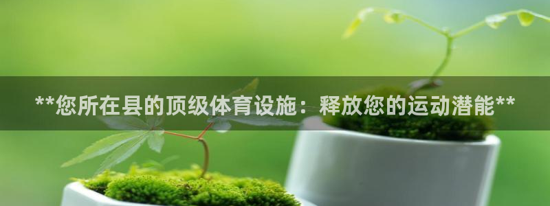 意昂体育3开户：**您所在县的顶级体育设施：释放您的