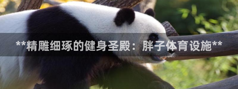 意昂体育3平台注册流程图：**精雕细琢的健身圣殿：胖