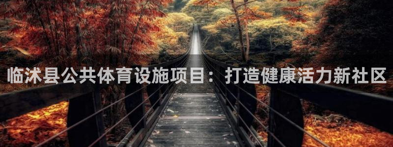 意昂集团官网：临沭县公共体育设施项目：打造健康活力新