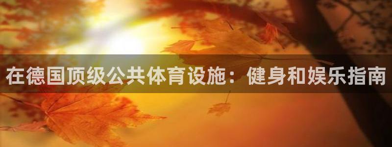 意昂3集团官网网址：在德国顶级公共体育设施：健身和娱