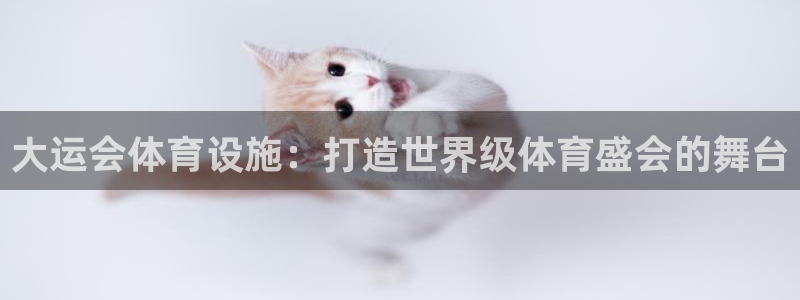 意昂3科技：大运会体育设施：打造世界级体育盛会的舞台