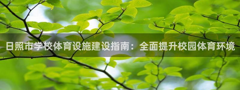 意昂3娱乐下载：日照市学校体育设施建设指南：全面提升