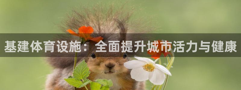 意昂体育3招商电话是多少号码：基建体育设施：全面提升