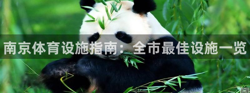 意昂体育3平台假的吗是真的吗吗：南京体育设施指南：全