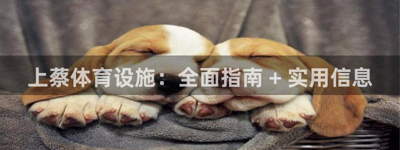 意昂3新能源：上蔡体育设施：全面指南 + 实用信息