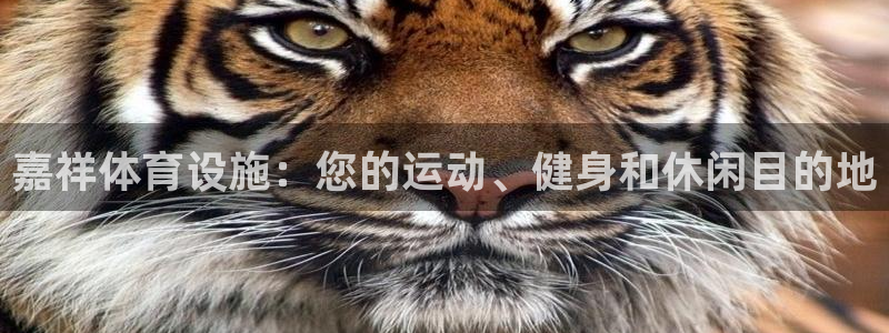 意昂集团官网：嘉祥体育设施：您的运动、健身和休闲目的