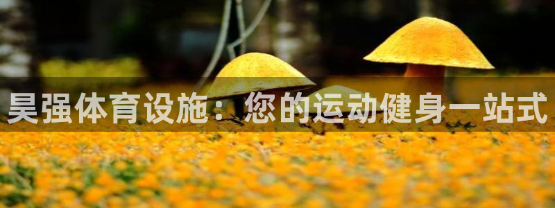 海南意昂体育3发展怎么样：昊强体育设施：您的运动健身