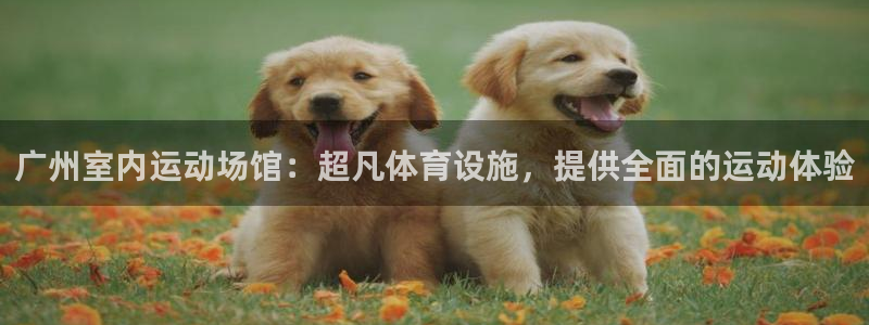 注册意昂3：广州室内运动场馆：超凡体育设施，提供全面