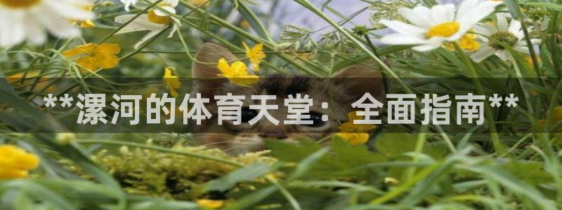 意昂体育3平台注册要钱吗是真的吗：**漯河的体育天堂