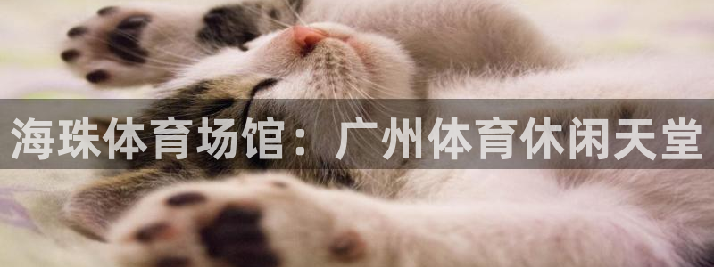 意昂体育3招商电话是多少：海珠体育场馆：广州体育休闲