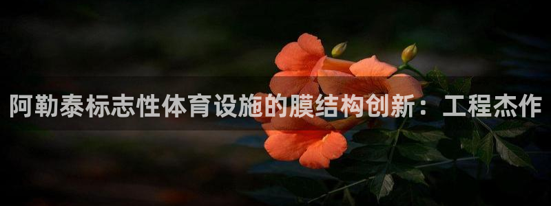 意昂3娱乐网站：阿勒泰标志性体育设施的膜结构创新：工