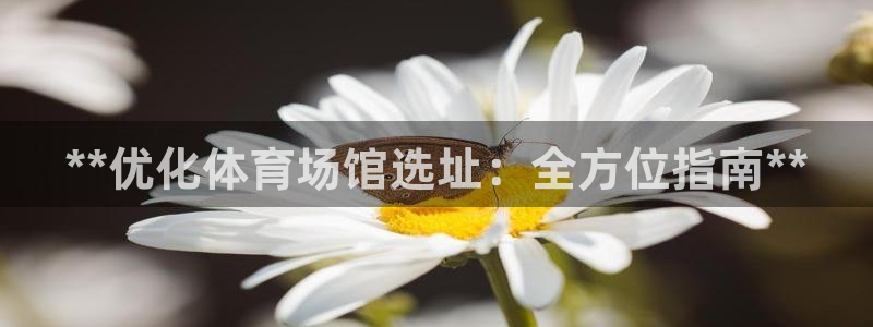 意昂体育3招商电话是多少啊：**优化体育场馆选址：全