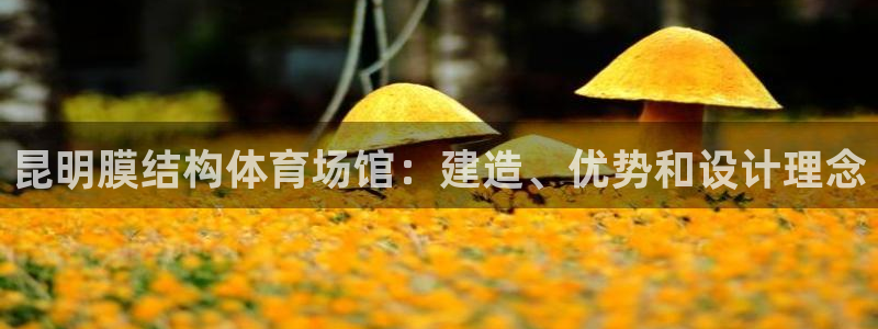 意昂3科技：昆明膜结构体育场馆：建造、优势和设计理念