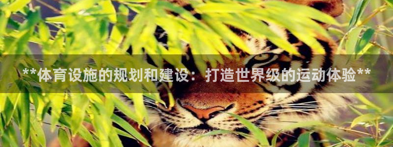 意昂体育3平台注册流程图：**体育设施的规划和建设：