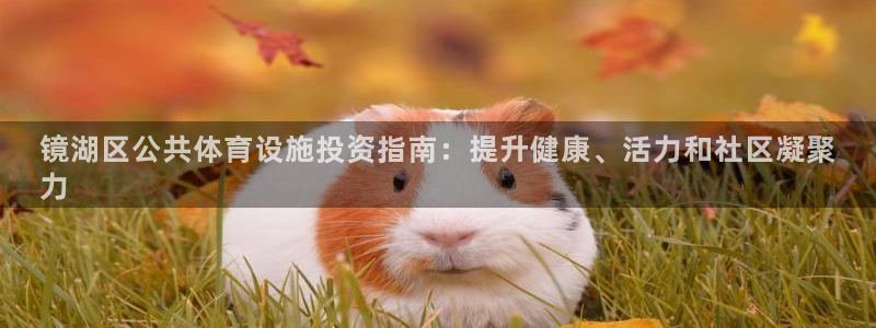 海南意昂体育3：镜湖区公共体育设施投资指南：提升健康