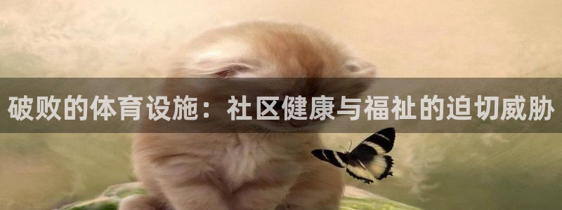 意昂体育3平台注册流程视频：破败的体育设施：社区健康