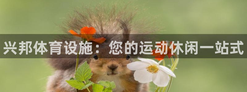 意昂体育3招商电话是多少号码：兴邦体育设施：您的运动