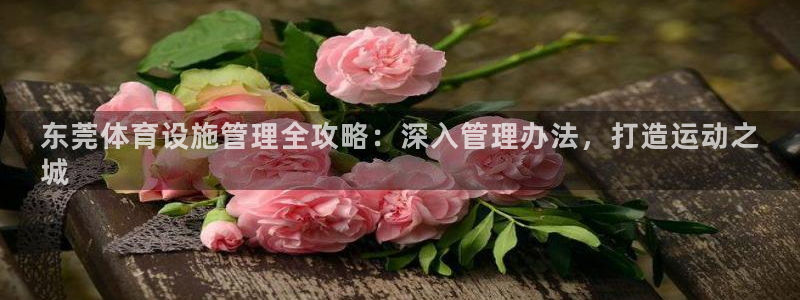 意昂体育3软件：东莞体育设施管理全攻略：深入管理办法