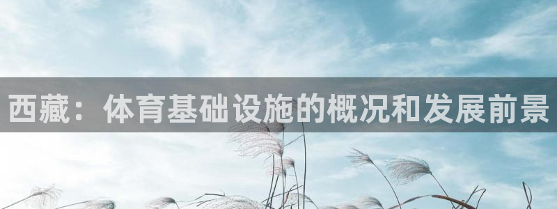 德国意昂3集团：西藏：体育基础设施的概况和发展前景