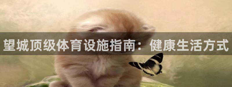 海南意昂体育3：望城顶级体育设施指南：健康生活方式
