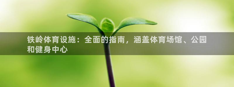 意昂体育3软件：铁岭体育设施：全面的指南，涵盖体育场