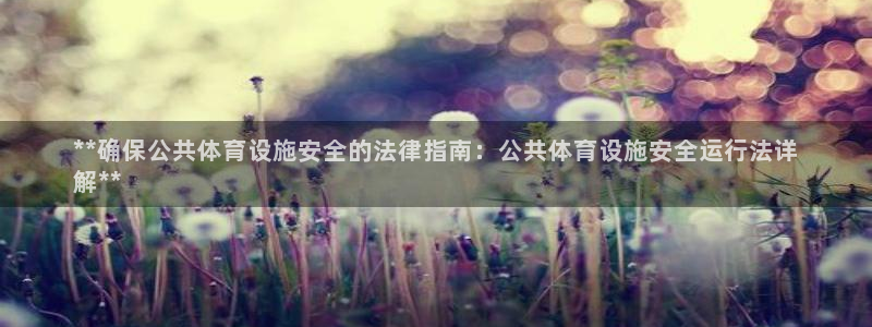意昂集团官网：**确保公共体育设施安全的法律指南：公