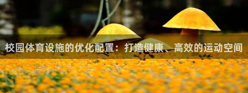 意昂体育3是干嘛的公司：校园体育设施的优化配置：打造