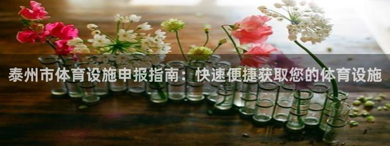 意昂体育3平台假的吗是真的吗：泰州市体育设施申报指南