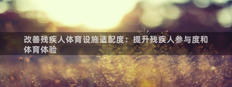 意昂体育3平台注册流程视频：改善残疾人体育设施适配度