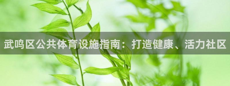 意昂3集团官网首页：武鸣区公共体育设施指南：打造健康