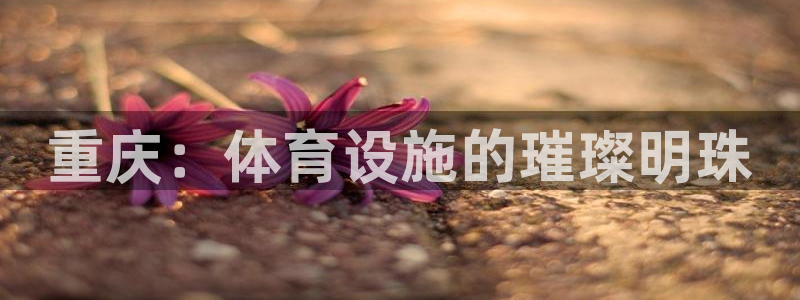 意昂体育3招商电话号码