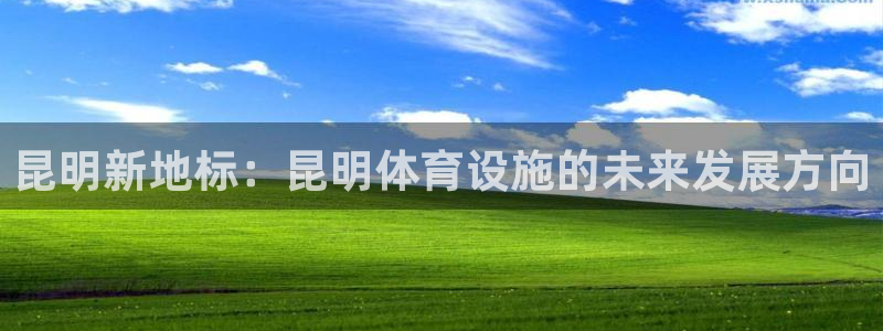意昂体育3招商电话