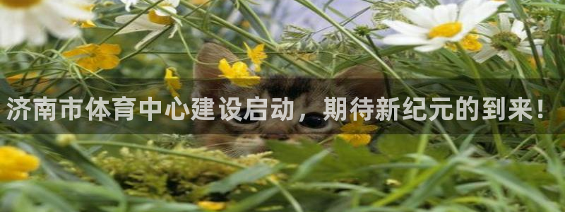 意昂体育3联系电话