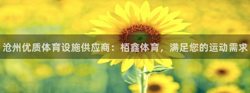 意昂3代理：沧州优质体育设施供应商：栢鑫体育，满足您的运动需