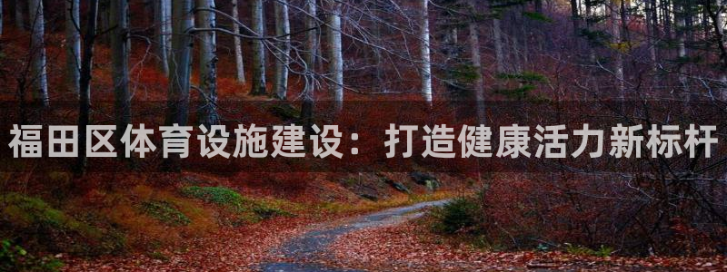 海南意昂体育3发展怎么样：福田区体育设施建设：打造健
